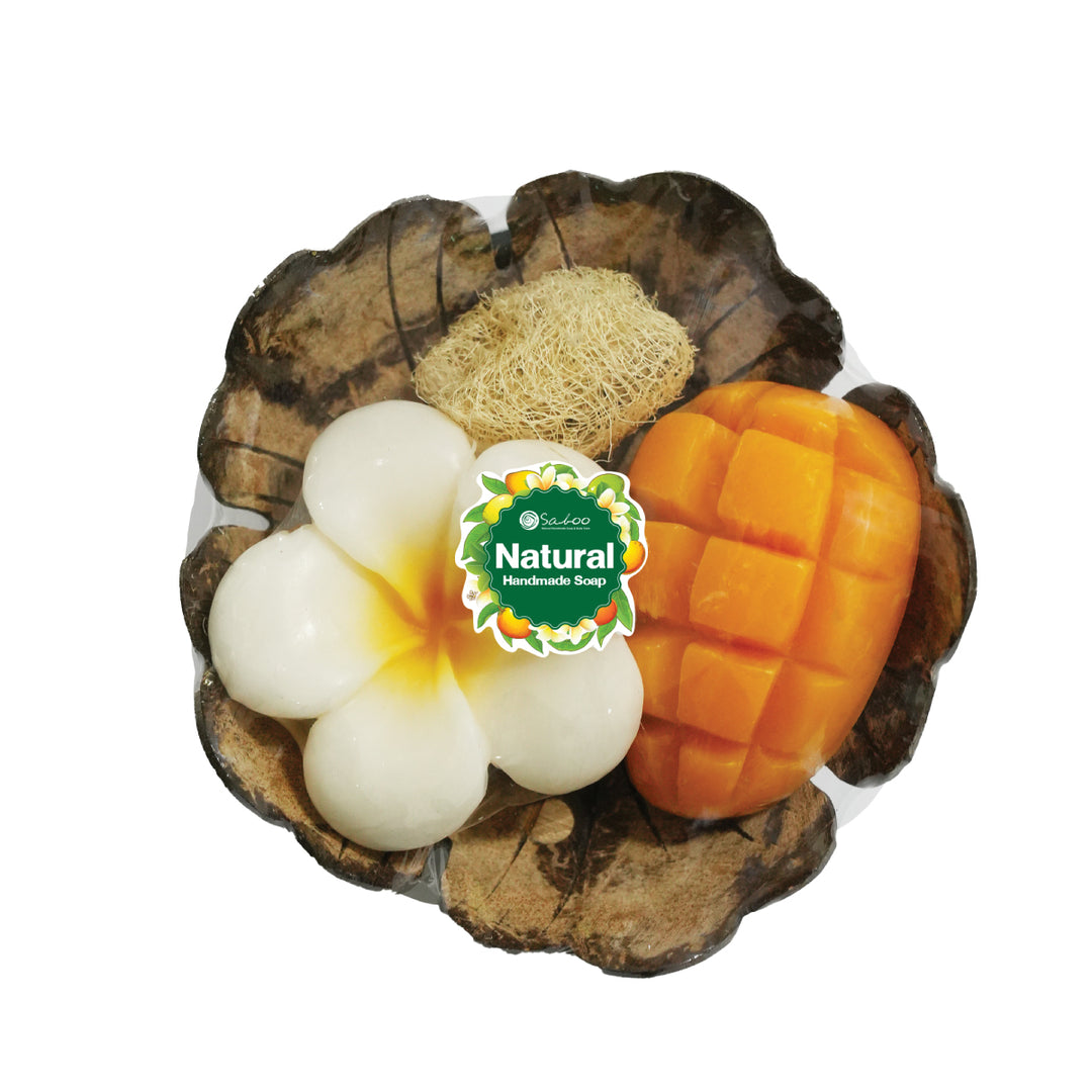 Natural Soap Gift Set - Coconut Shell