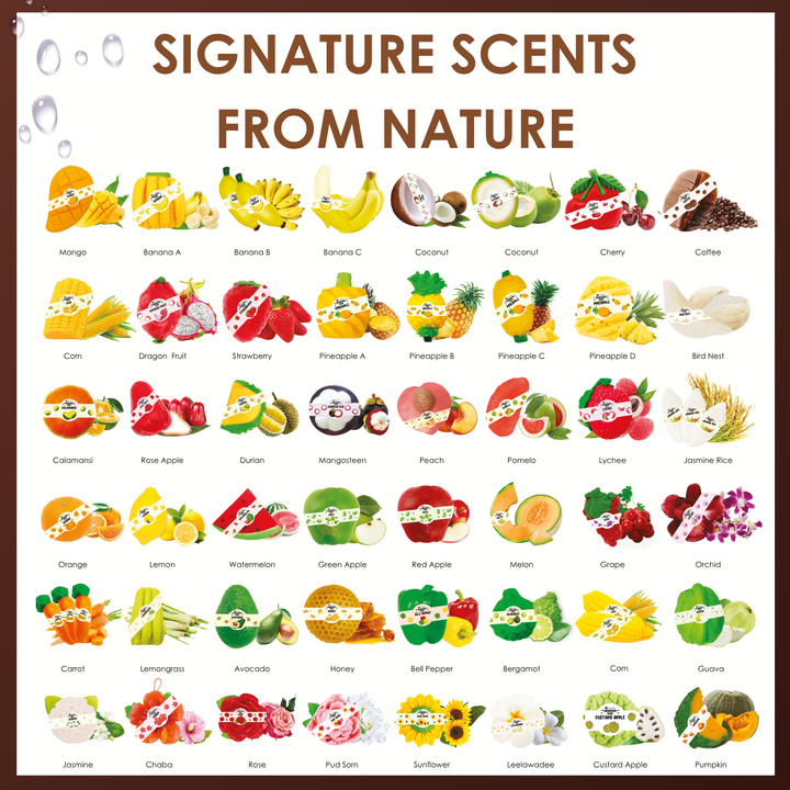 Natural Fancy Soap - 100g - Coffee