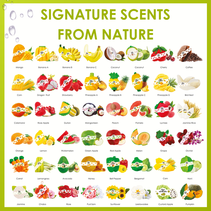 Natural Fancy Soap - 100g - Noni