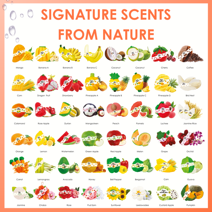 Natural Fancy Soap - Melon
