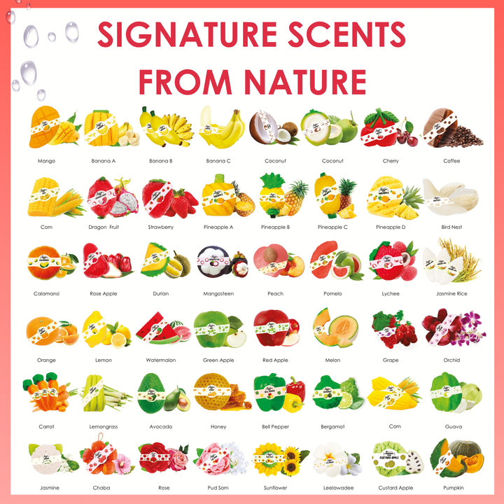 Natural Fancy Soap - 100g - Lychee