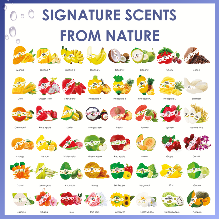 Natural Fancy Soap - 100g - Leaf