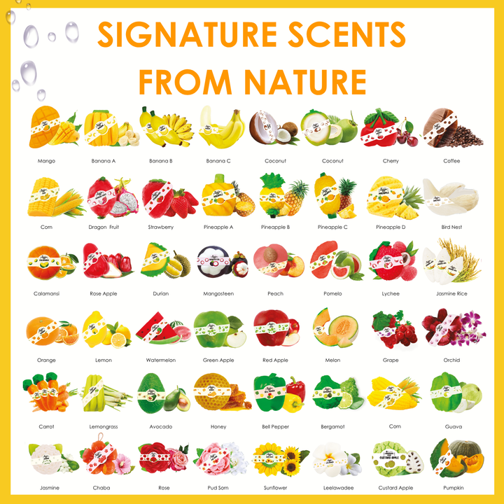 Natural Fancy Soap - 100g - Mango