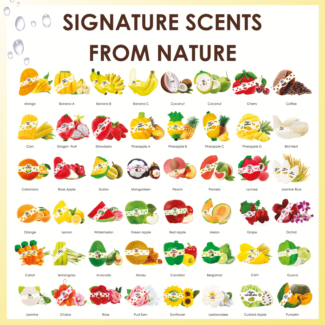 Natural Fancy Soap - 100g - Canation
