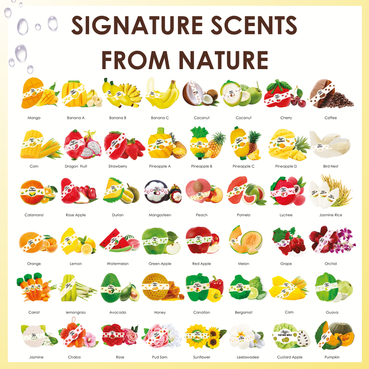 Natural Fancy Soap - 100g - Canation