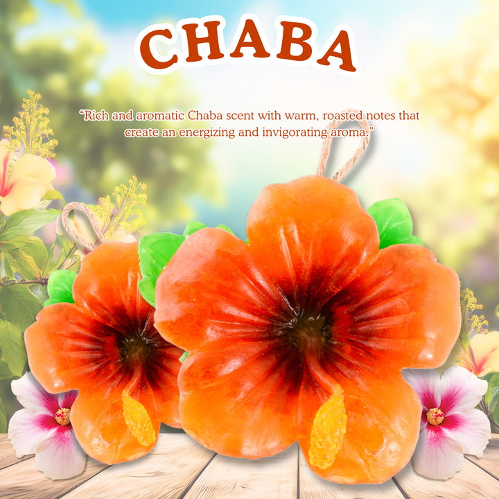 Natural Fancy Soap - 100g - Chaba