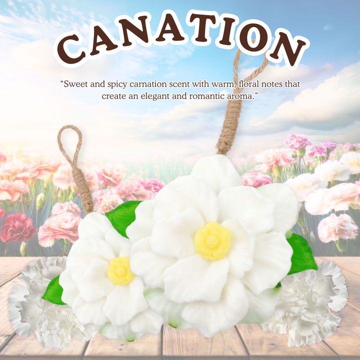 Natural Fancy Soap - 100g - Canation