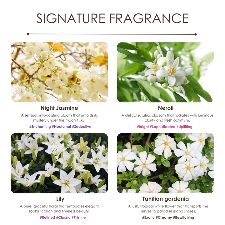 Saboo Room Spray - 250ml - Jasmine Night