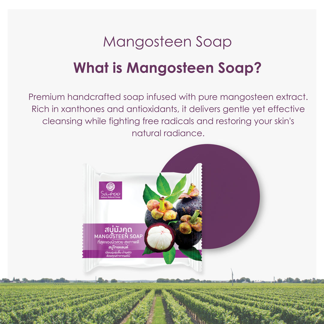 Glycerine Soap - Plastic Package - 100g - Mangosteen