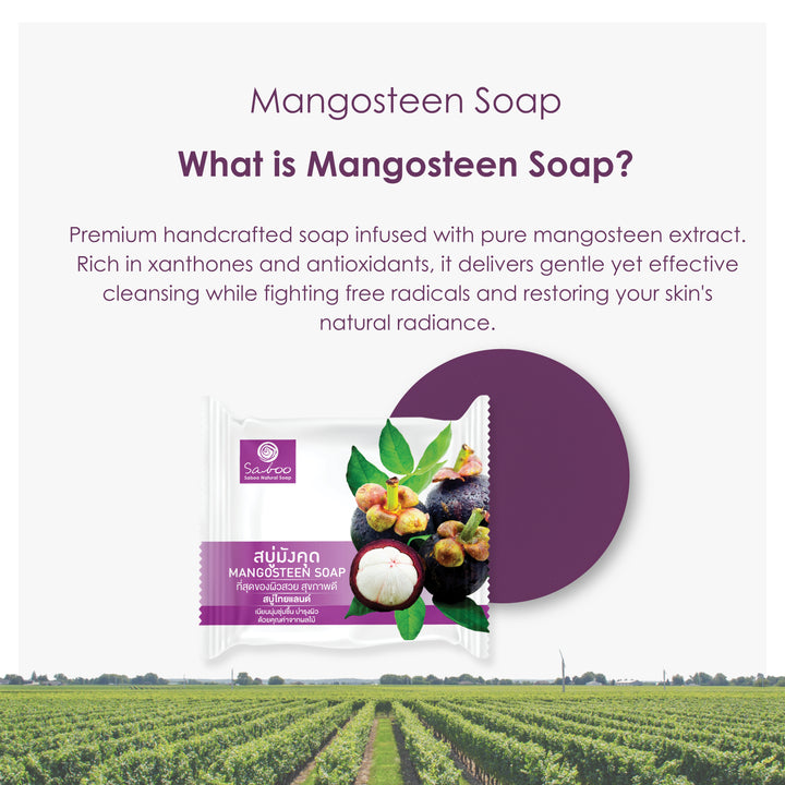 Glycerine Soap - Plastic Package - 100g - Mangosteen