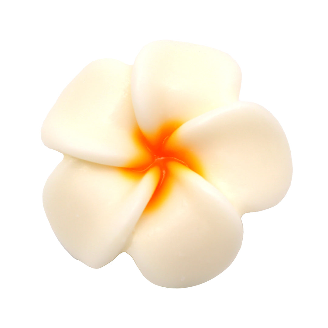 Natural Fancy Soap - 100g - Leelawadee